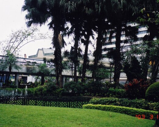 Andrea's trip to Hong Kong