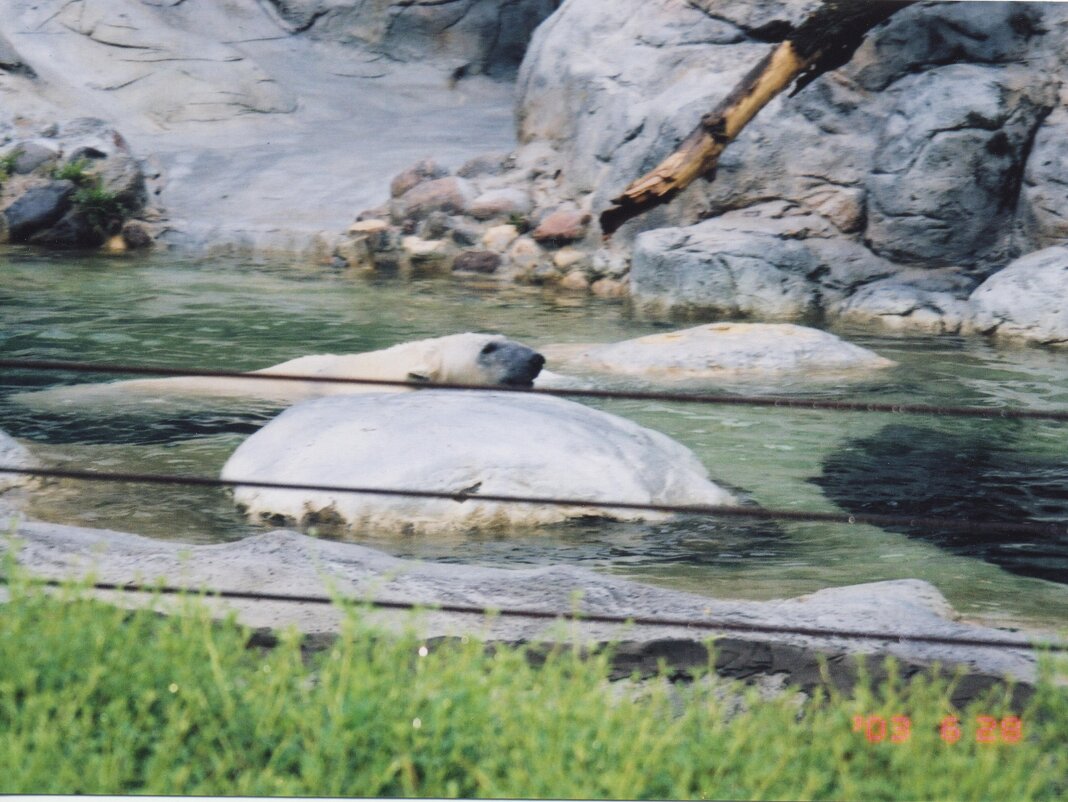 2003